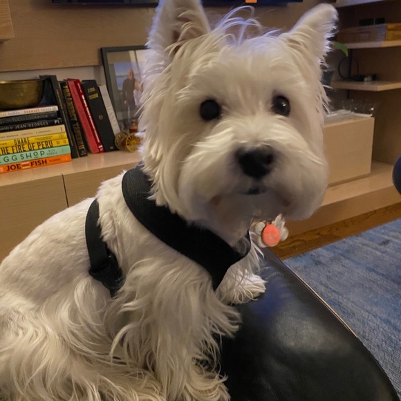 Meet your Posher, Cathy! - Picture 3 of 7